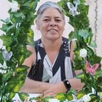 Foto Maria da Penha Freitas